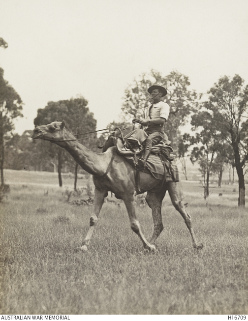 A single uniformed soldier leading a camel across open ground.
